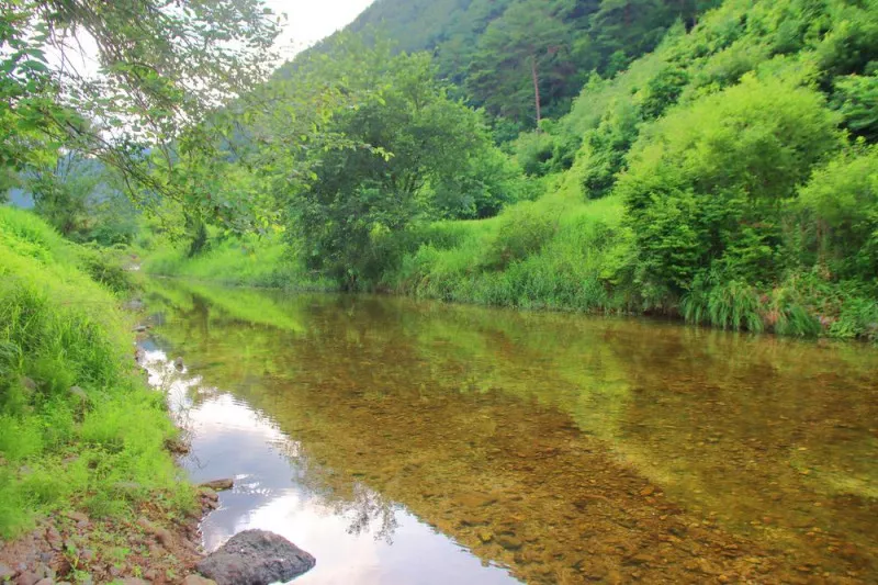 구학희망캠핑장 9