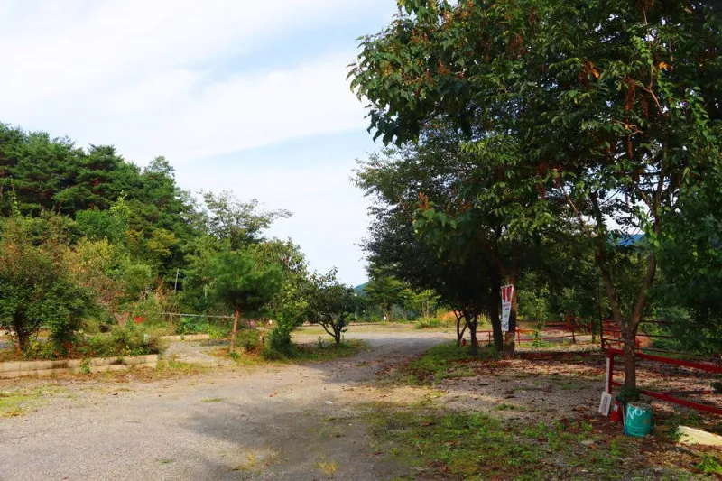 가야산백운오토캠핑장 7