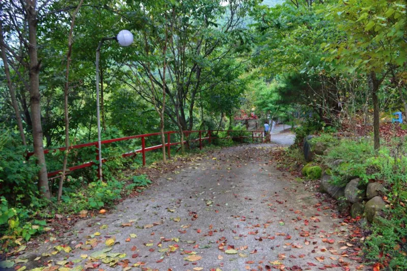 가야산백운오토캠핑장 9