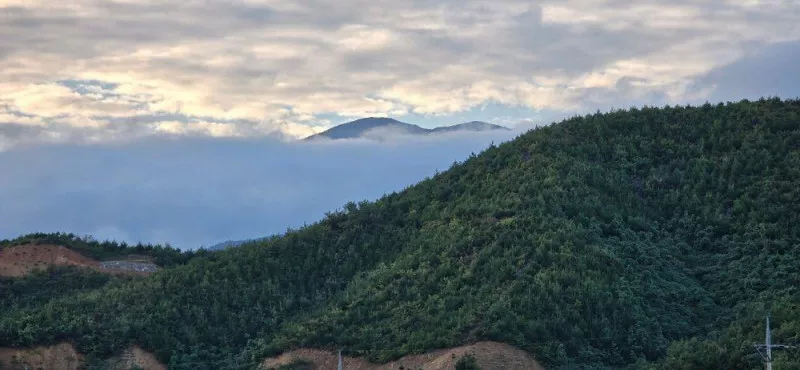 밤하늘별캠프 5