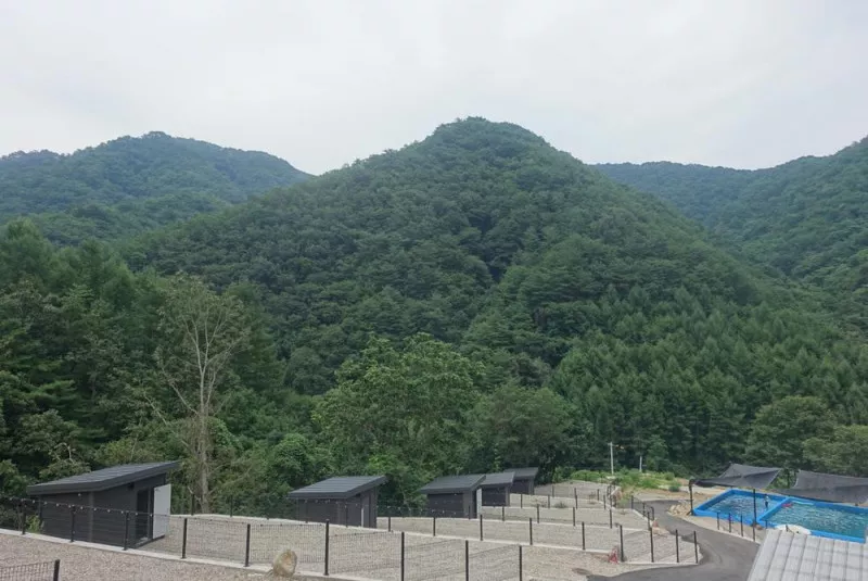 홈사리캠핑장 4