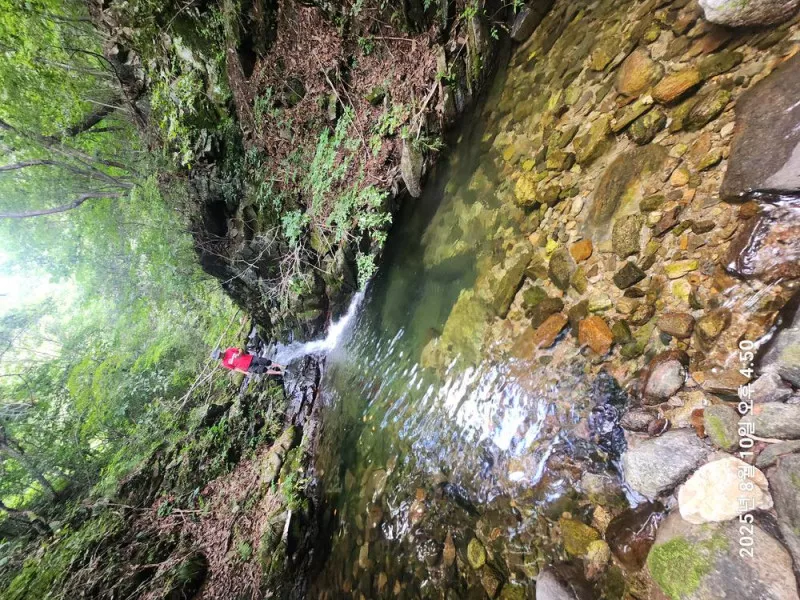 홈사리캠핑장 5