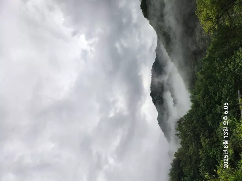 홈사리캠핑장 6