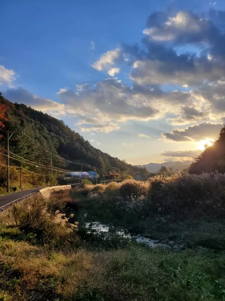 명마동 캠핑장 1