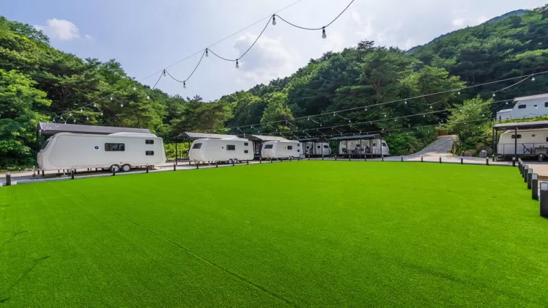 더클래식 관광농원 5