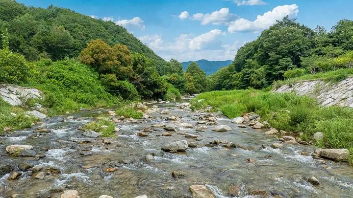 반딧불카라반캠핑장 1