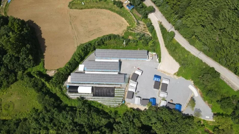 미꾸라지 캠핑장 3