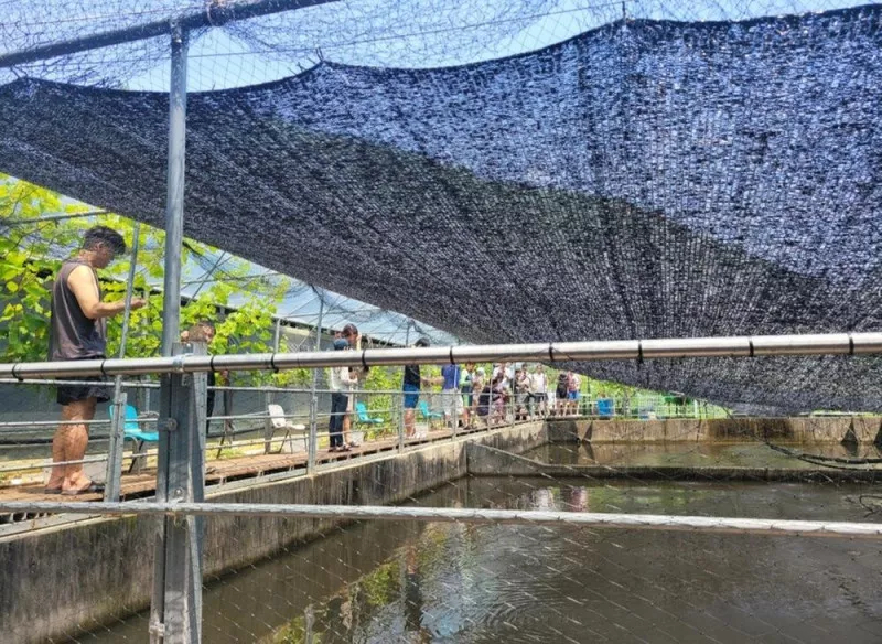 미꾸라지 캠핑장 8