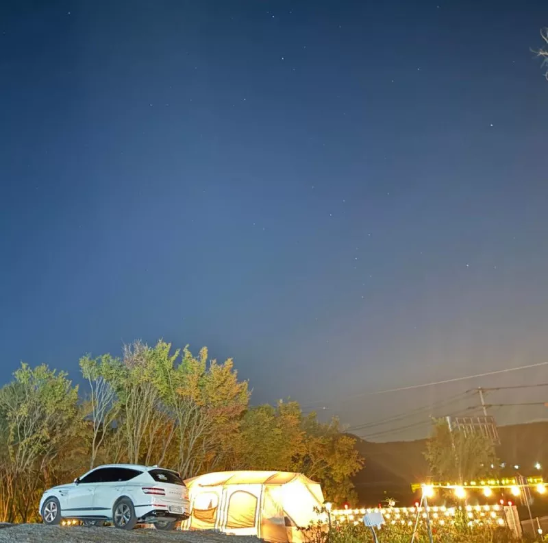 부여 사랑나무 캠핑장 6