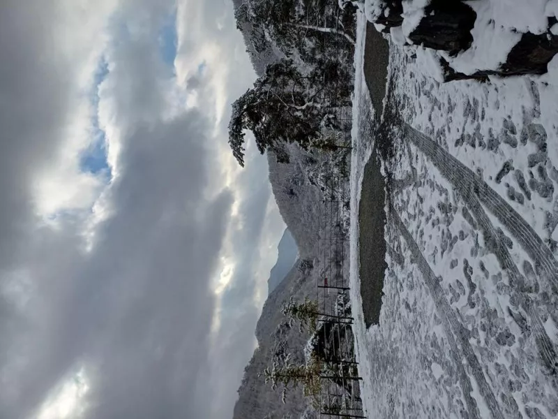 아미힐(ami hill) 5