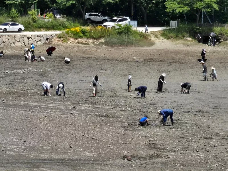 고성동화캠핑장 9