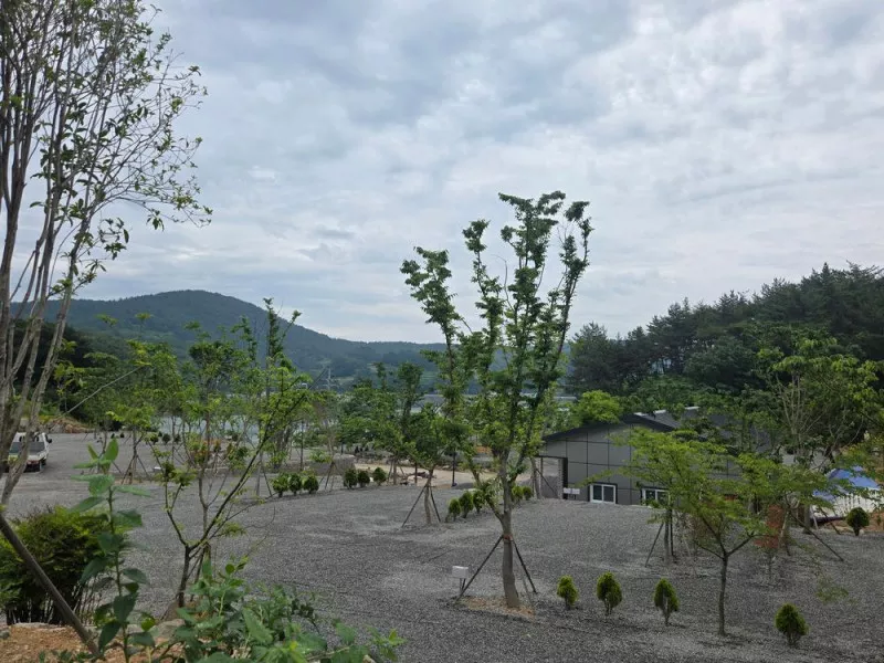 고성동화캠핑장 7