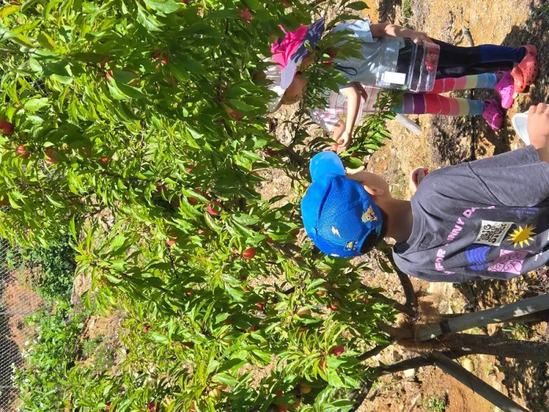 고성동화캠핑장 5