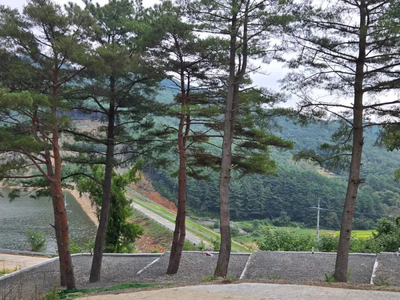 화금지 숲속캠핑장 8