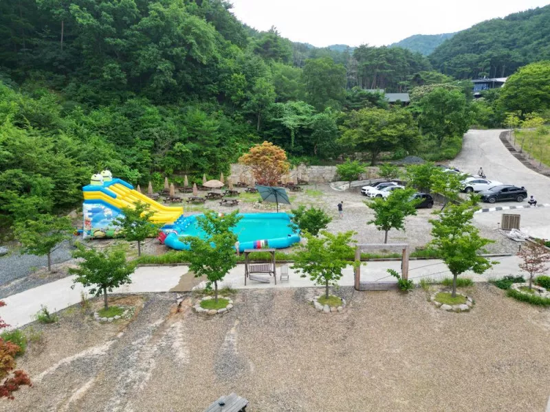 트리풀(treefull) 7