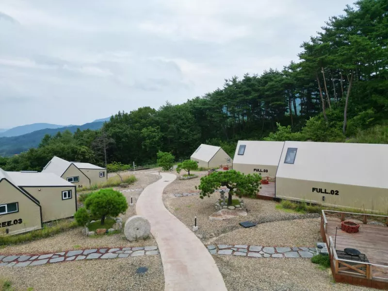 트리풀(treefull) 6