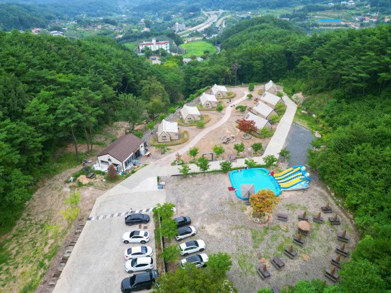 트리풀(treefull) 2