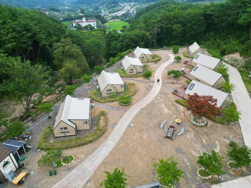 트리풀(treefull) 3