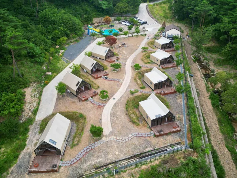 트리풀(treefull) 4