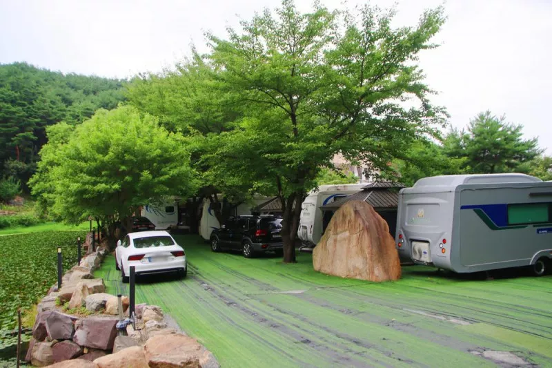 80포레스트카라반캠프 11