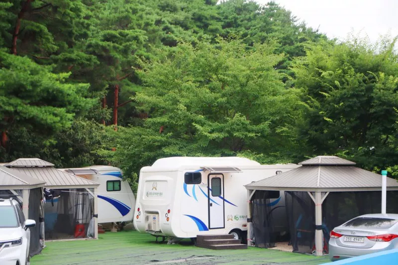 80포레스트카라반캠프 8