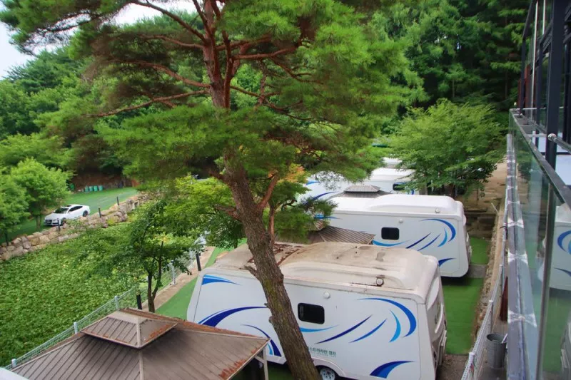 80포레스트카라반캠프 7