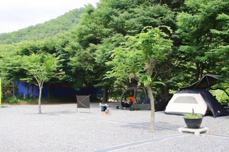 법흥계곡캠핑오늘 4