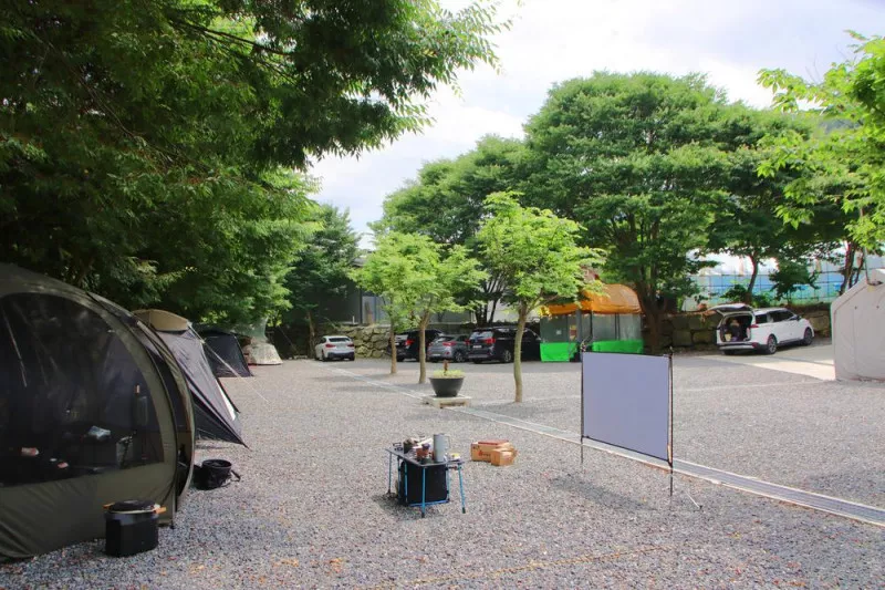 법흥계곡캠핑오늘 9