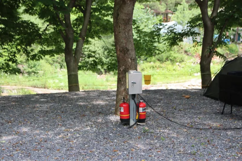 법흥계곡캠핑오늘 7