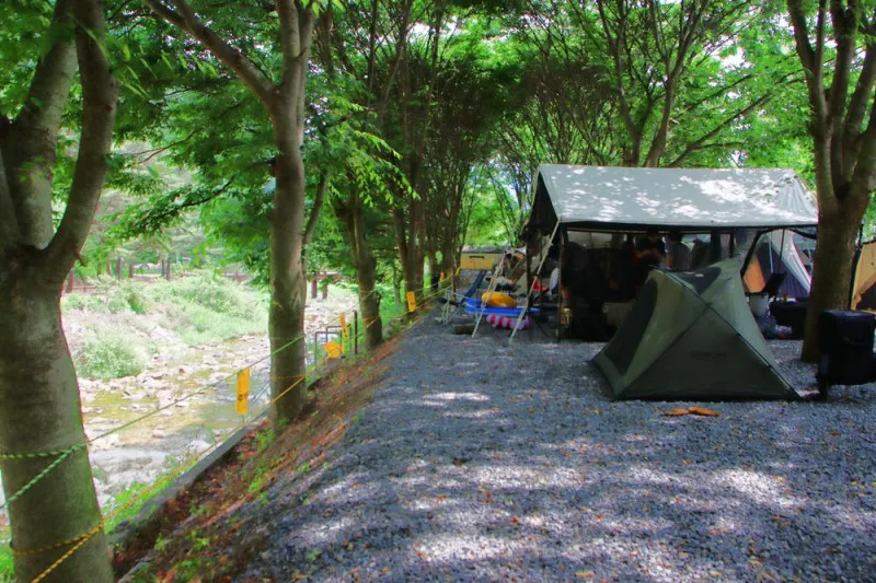 법흥계곡캠핑오늘 10