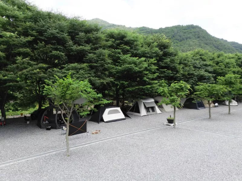 법흥계곡캠핑오늘 3