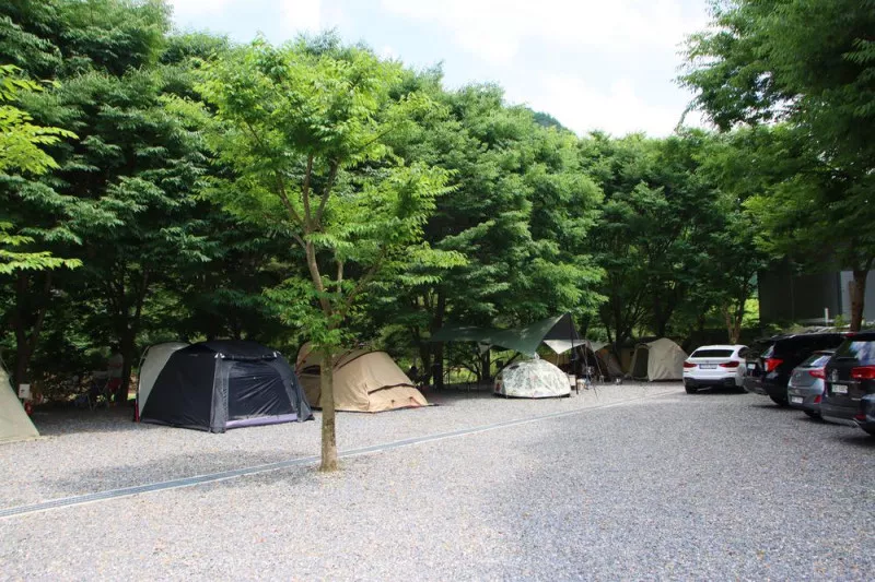 법흥계곡캠핑오늘 5