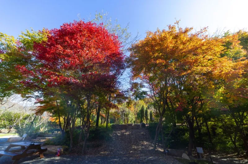 부곡허브농원캠핑장 11