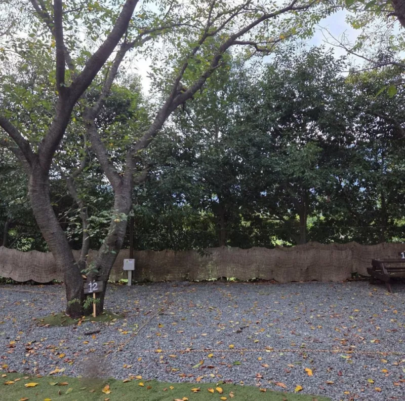 부곡허브농원캠핑장 8