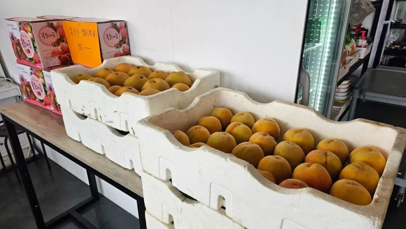 별빛마루 관광농원 5