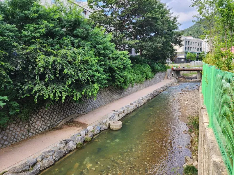 양주 장흥 브이아이피 캠핑장 7