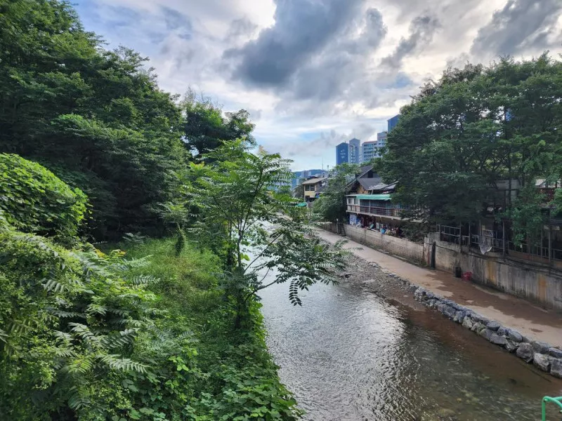 양주 장흥 브이아이피 캠핑장 10