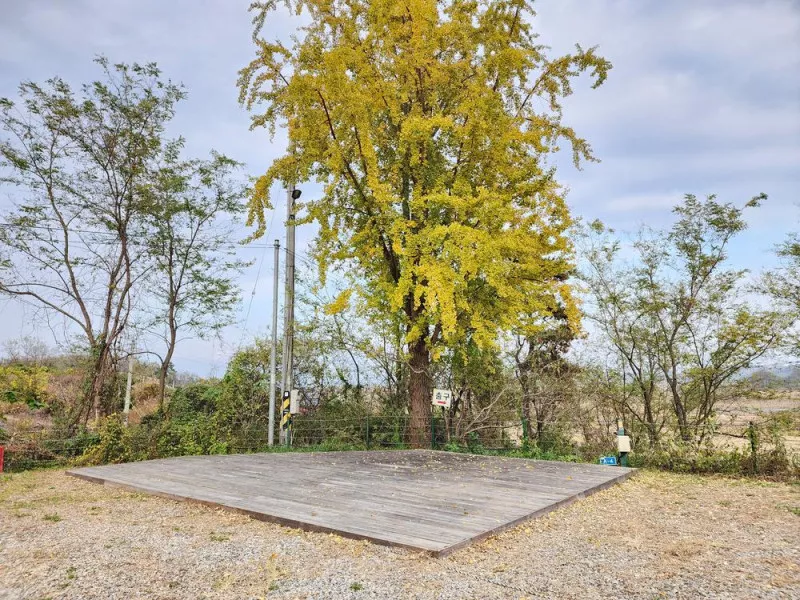 어도숲 캠핑장 4