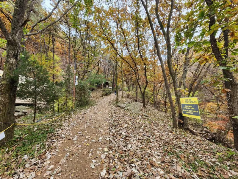 병목안캠핑장 10