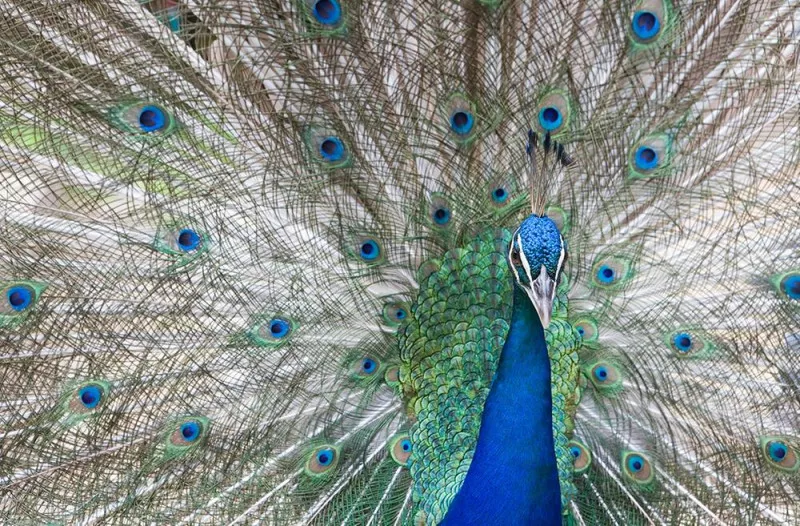 에이원 글램핑 관광농원 7