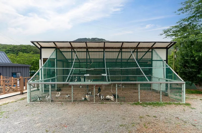 에이원 글램핑 관광농원 10