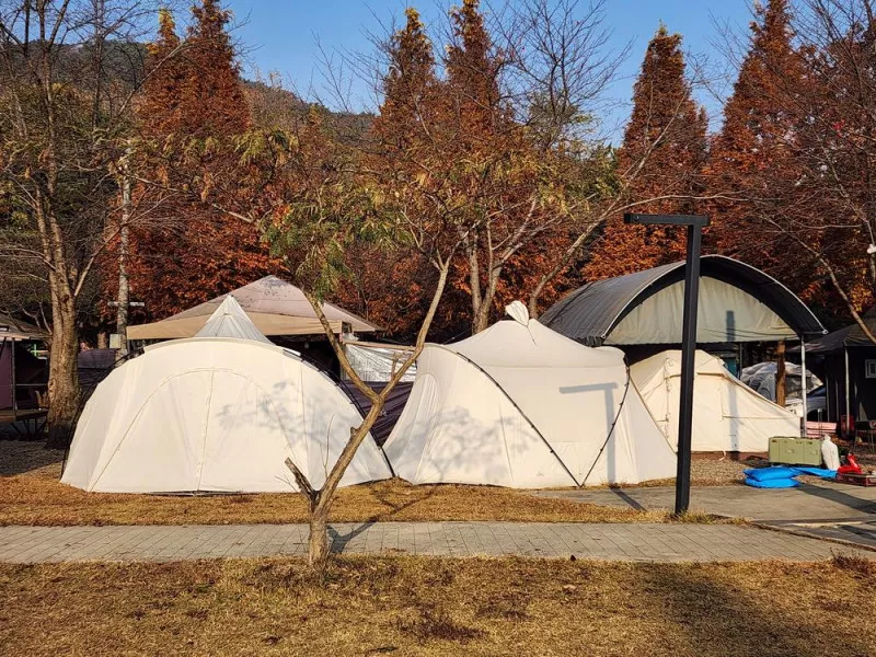 김포캠핑파크 주식회사 7