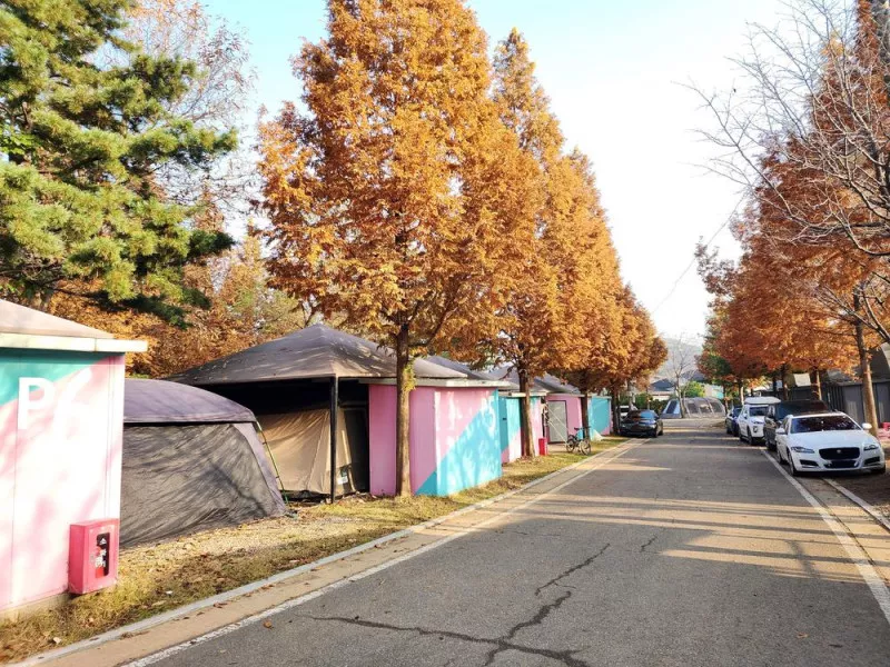 김포캠핑파크 주식회사 10