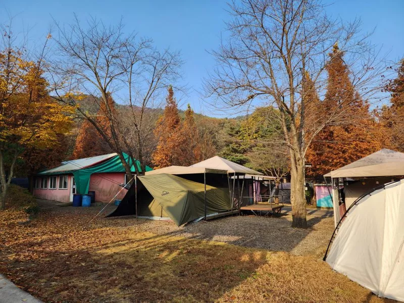 김포캠핑파크 주식회사 8