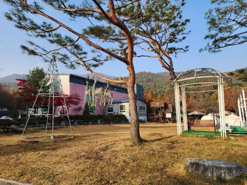 김포캠핑파크 주식회사 5