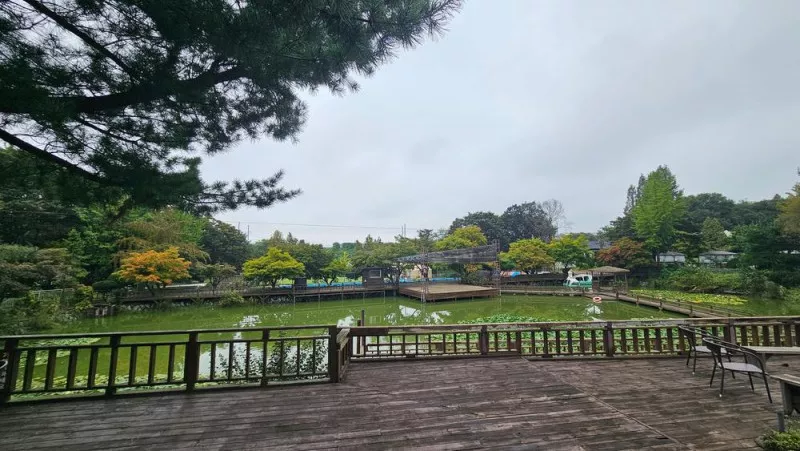 청암관광농원 5