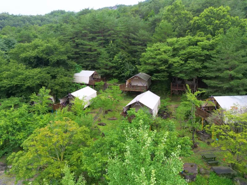 청풍월드니스글램핑 8