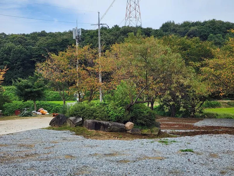 용인반딧불캠핑장 4