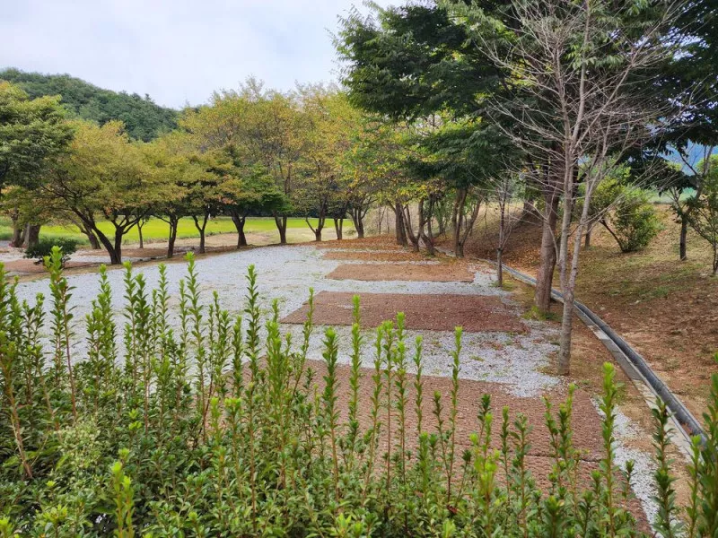 용인반딧불캠핑장 9