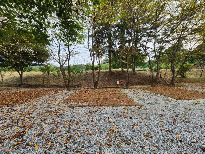 용인반딧불캠핑장 8